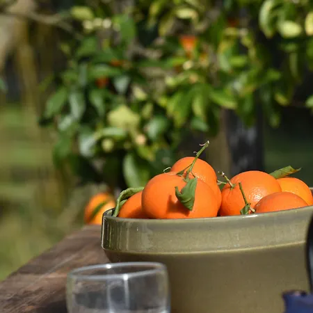 D'hotes Domaine De Ginouilhac 4* Le Taillan-Médoc